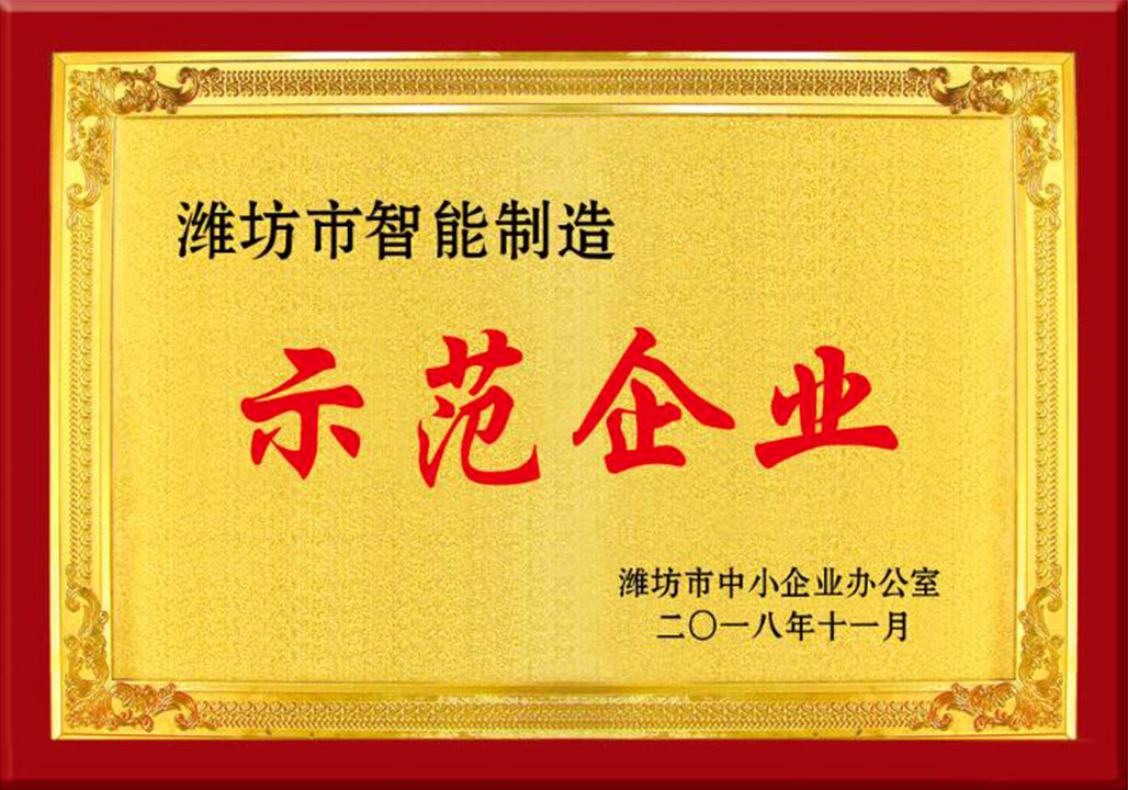 濰坊市(shì)智能制(zhi)造示範(fàn)企業